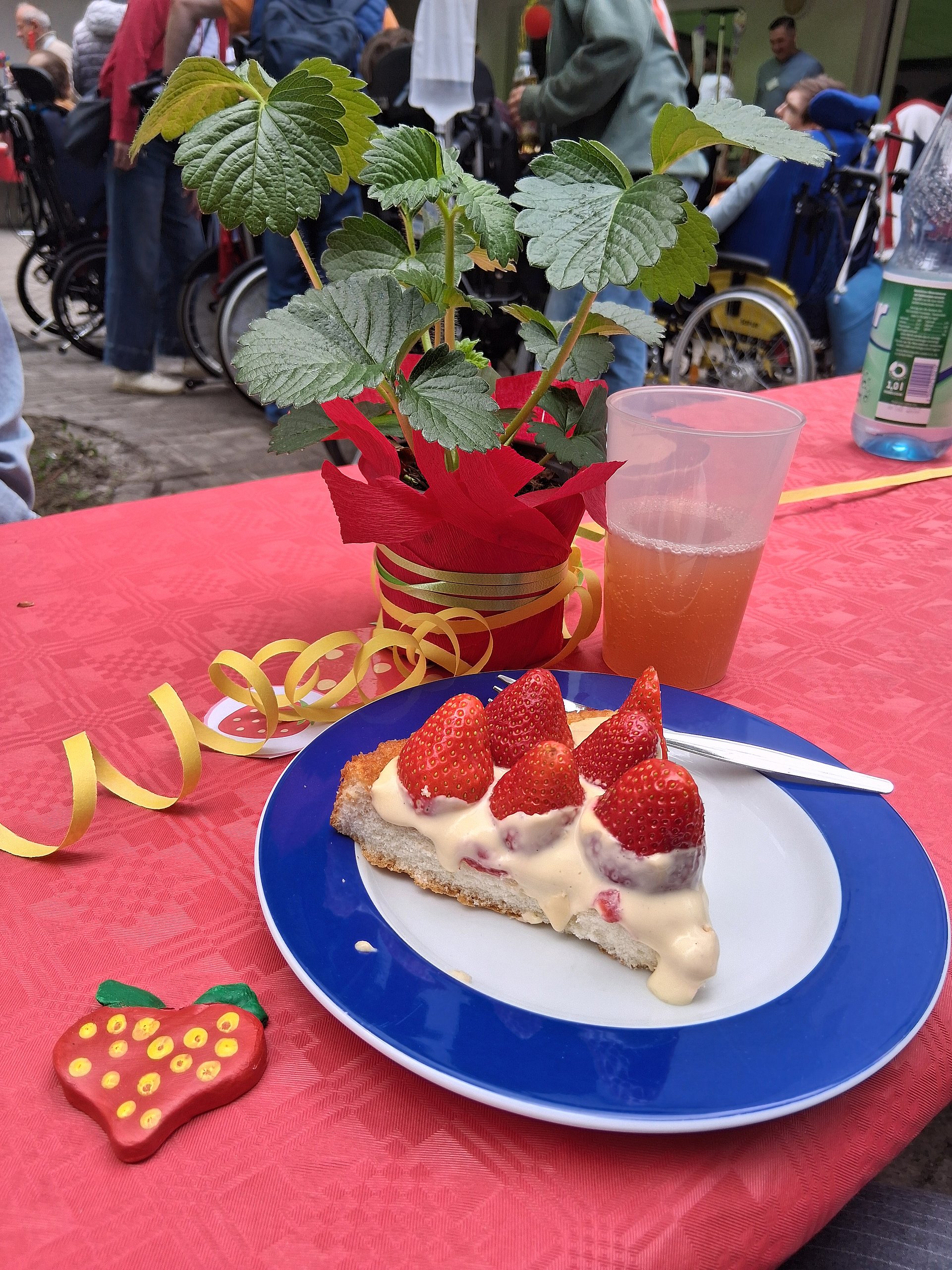 Ein Tisch im Freien ist mit einer roten Tischdecke gedeckt. Darauf steht ein Teller mit einem blauen Rand. Darauf liegt ein Stück Erdbeerkuchen. Dahinter steht eine Erdbeerpflanze und daneben ein Getränk in einen Plastikbecher. Im Hintergrund sind Menschen zu sehen. 