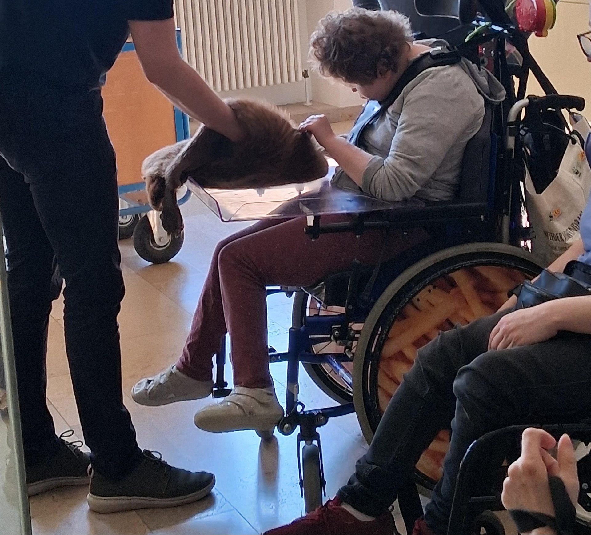 Eine Frau sitzt in einem Rollstuhl. Vor ihr auf einem Tisch liegt ein Tierfell, das sie ertastet. Vor ihr steht eine Person und hält ihr das Fell hin. 